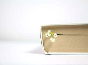 book and flower peaking out of the end