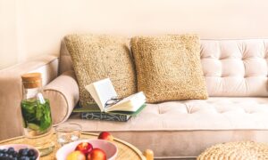 tan couch with cushions, books, and glasses on it, table in foreground with water and fruit on it